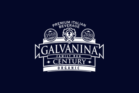 Logo Galvanina